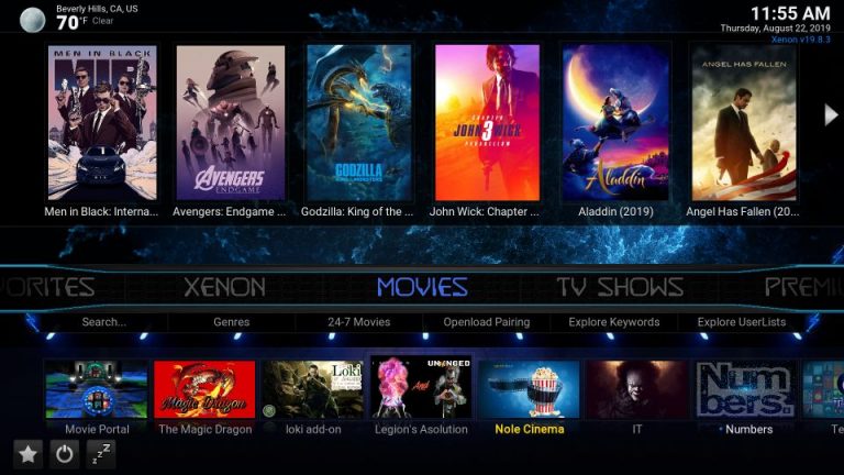 How to Install Diggz Xenon Kodi Build - Fire Stick How